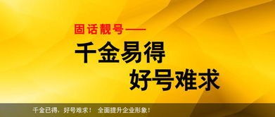 二七区电信靓号出售 欢迎来电 河南桔子通信技术供应